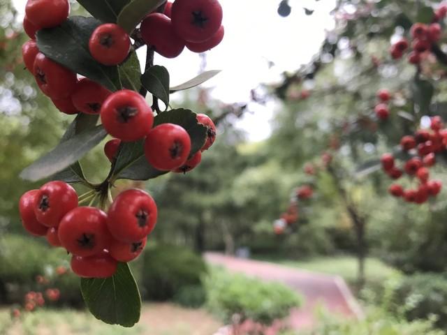 “最怕小雪是晴天”，今日小雪，晴天有啥预兆？看看农谚咋说