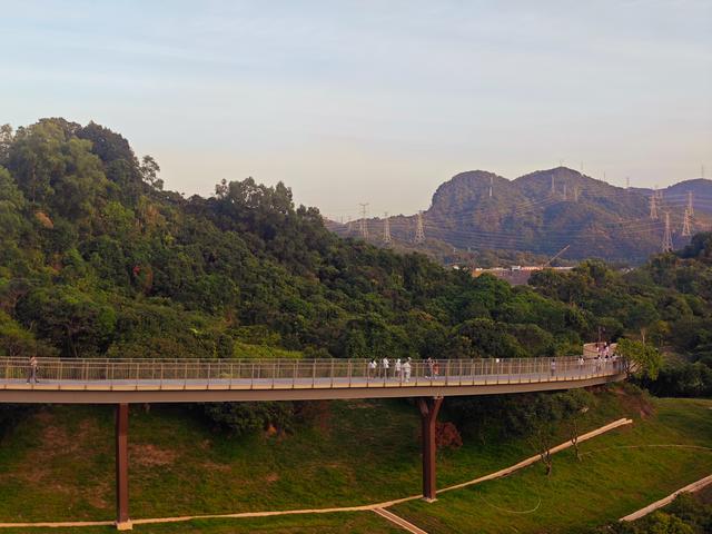 西丽湖国际科教城绿道，看霞飞满天，如梦似幻！长岭陂地铁C口