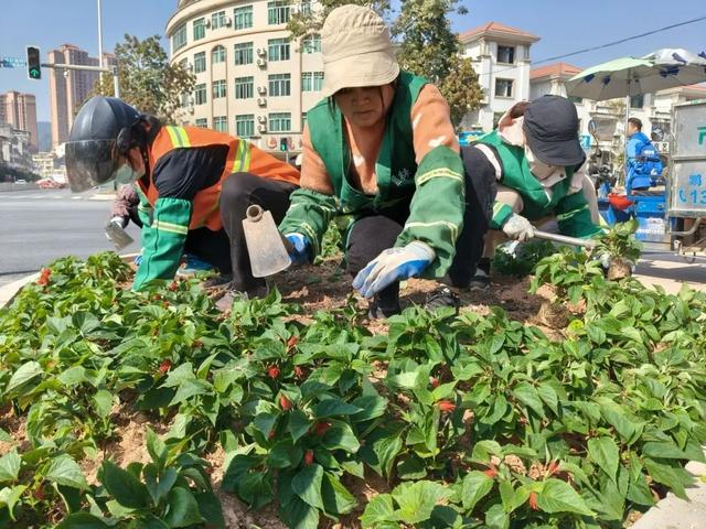 把微缩版江南园林藏进广宁街角，美就这样蹦出来~
