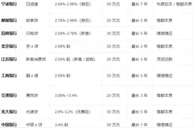 2025年消费贷申请标准图片