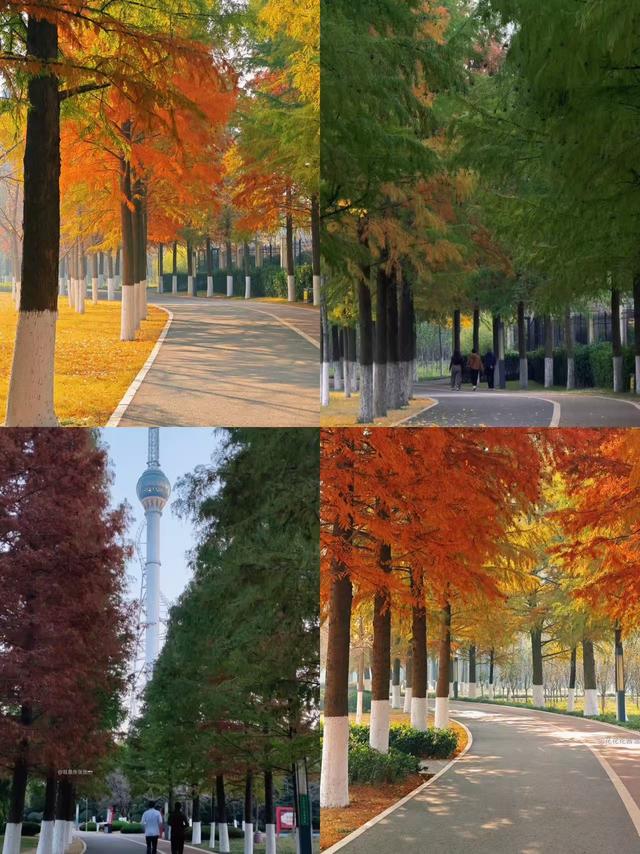 原来真的有城市，可以一天24小时都快乐~（2）