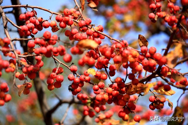 深秋时节，临汾有个富有诗意的好地方！