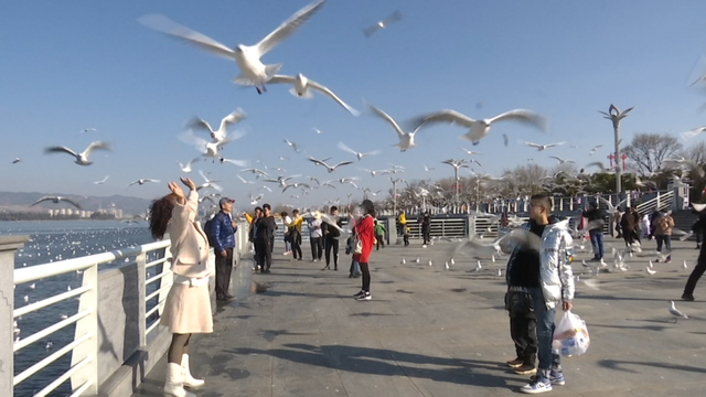 昆明的四季慢生活为何让人上瘾？