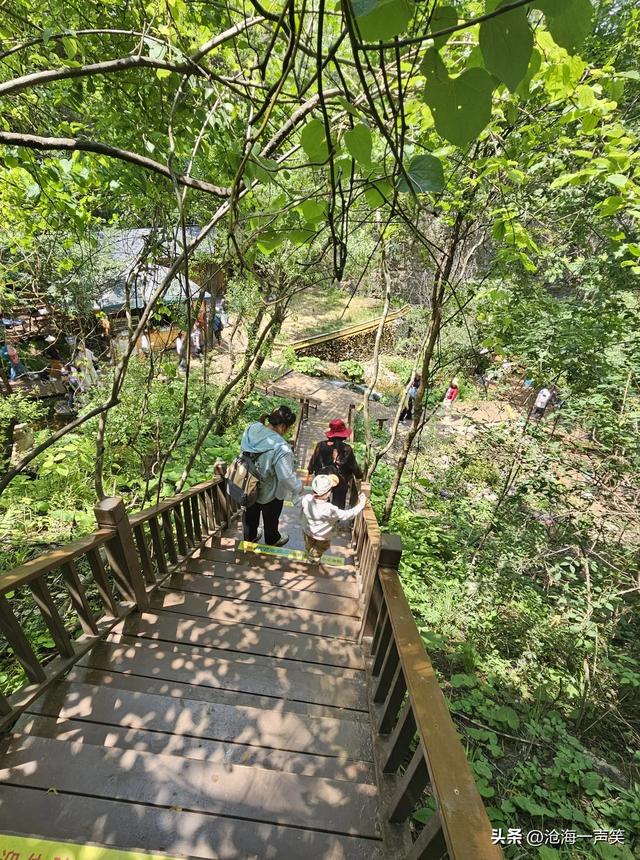 请河南的朋友猜一猜这是哪里的4A级景区，避暑胜地，森林密布