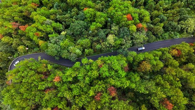 垫江这条旅游要道改造完工，出行 + 文旅双重升级！