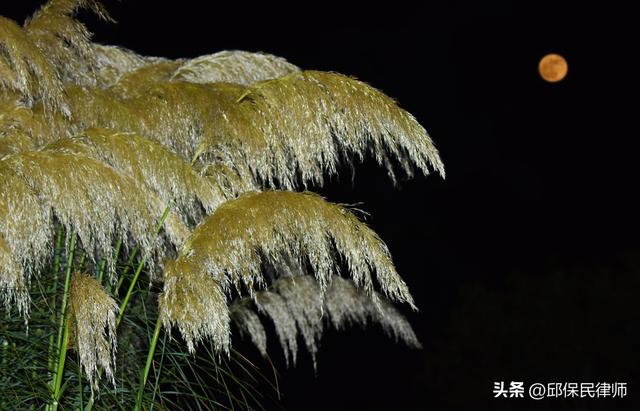 秋分日武昌沙湖信步