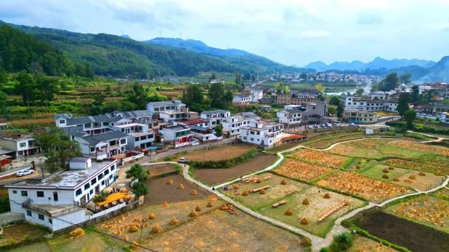 乡游黔中 · 花溪区 黔陶布依族苗族乡丨古茶香漫，避暑山居揽星河