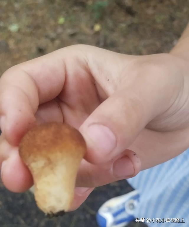 暑假三