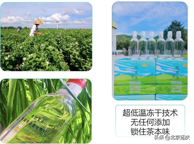 8大线路发布！GO~去延庆四季花海