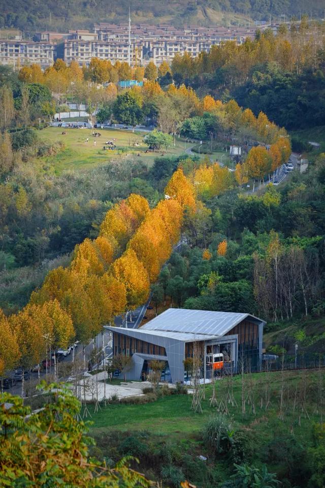周末晒太阳!这几地有湖水+草坪+1h可达