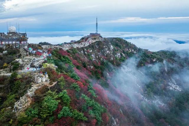 千万别在秋天来泰安，不然真的很难戒断