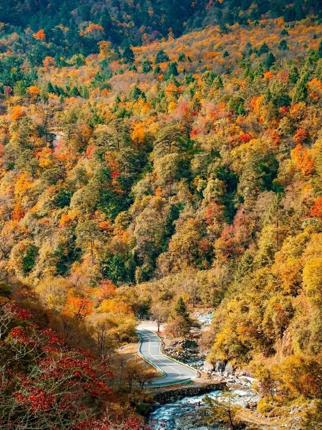 喇叭河五彩斑斓的秋天，就这样闯闯闯入视野！