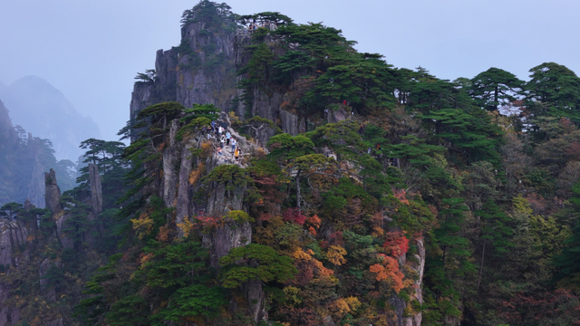 紧急播报：黄山秋色已达峰值，100%颜值在线，速来！| 皖美冬日 | 第十五届安徽国际文化旅游节