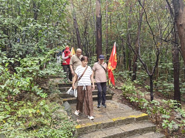 寻访淮海:你来过徐州云龙山上的张山人故居吗