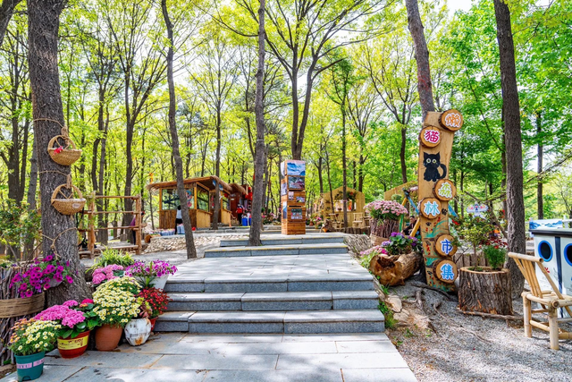 原来真的有城市，可以一天24小时都快乐~（2）