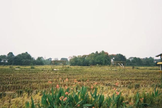 在成都西北郊区，这个渐渐淡出视野的最美乡村，还值得一去吗？