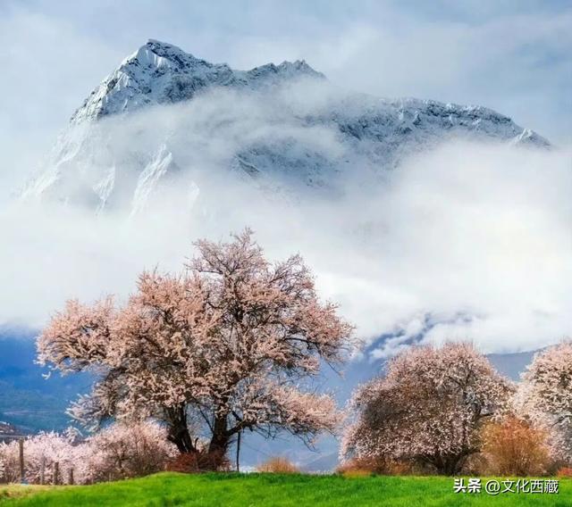太绝了！西藏那些一眼难忘的山形！你认识几座？