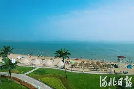 新闻纵深丨多彩渤海湾 魅力曹妃甸图片