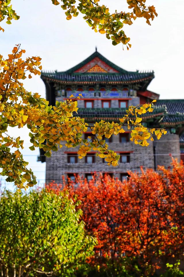 你会怀念这个秋天吗？