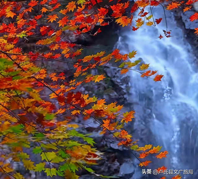 【文旅医养】马拉松之约已上线，卢氏景区福利来袭，跑就对了！