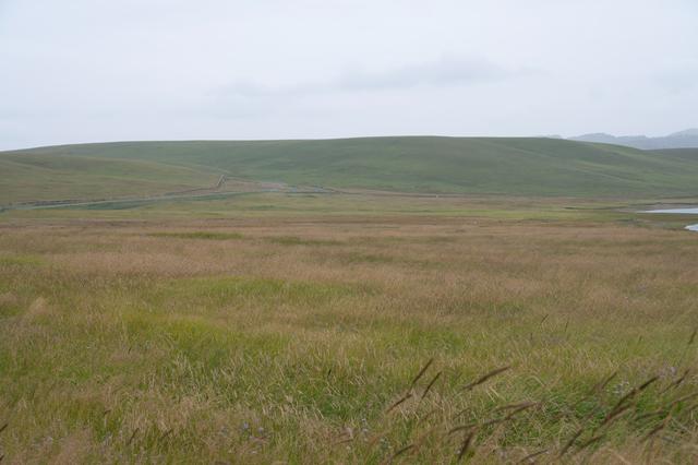 张掖山丹马场——祁连山脚下的大草原