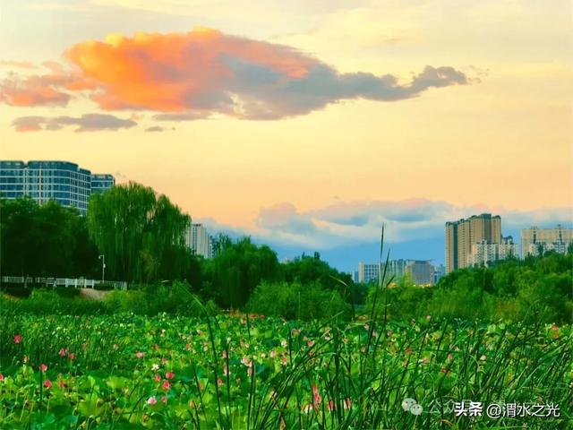 【重庆】黄超全：浐河十载焕新颜，古都明珠映长安