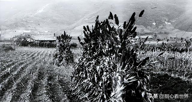 他54岁担任辽宁省委书记，曾查办东北乔四，57岁任黑龙江省委书记