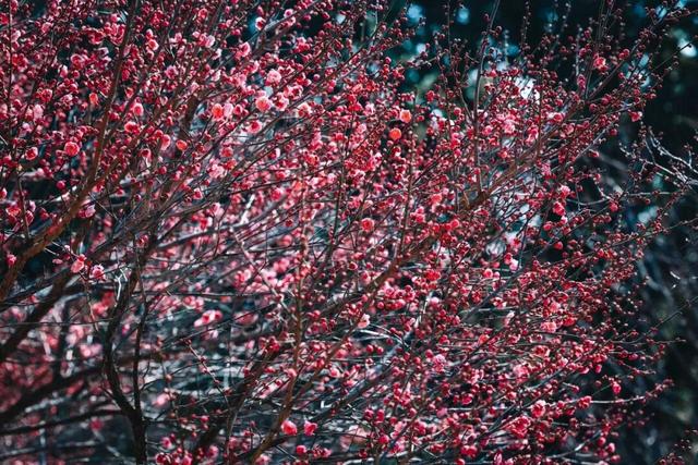 无锡又一大型雪世界，要来了！