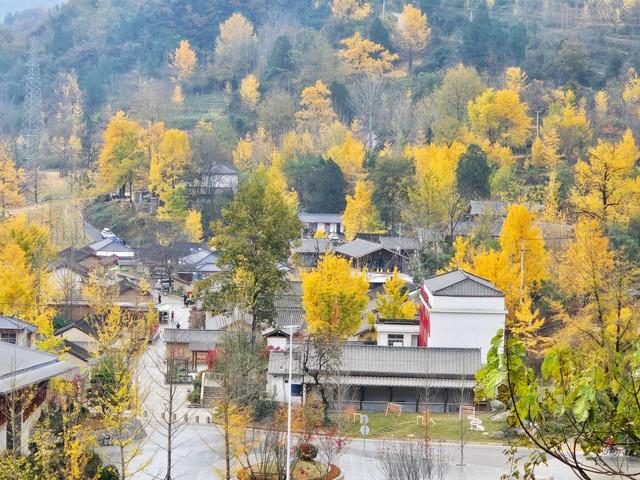 甘肃秋日限定丨三色交织的视觉盛宴，邂逅最诗意的陇原！