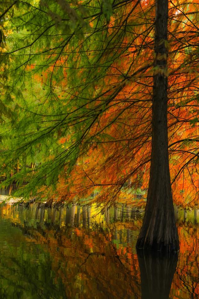 时间在这里按下暂停键,让我们见证季节变换