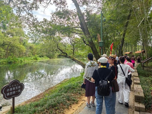 7 小时 “铁腚” 大巴游实录：59 岁阿姨喊出心声，老年人旅游哪是看风景？