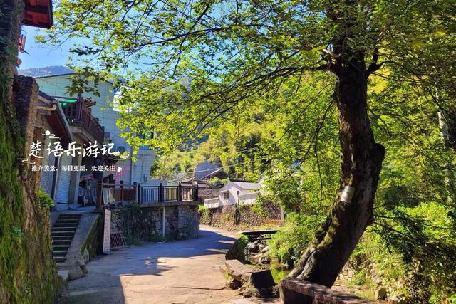 浙江宁波桥坑山麓的古村，既是文化名村又是景区村庄，景色确实美