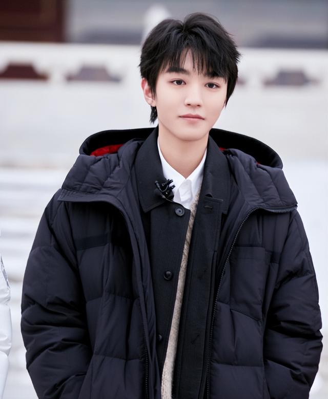 全红婵做梦也没想到	，自己随手一个举动，竟给王俊凯惹了个大麻烦