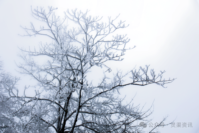 兴安限定版“冰雪奇缘”惊艳上线→