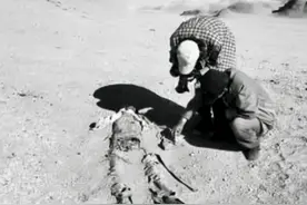 2016年，失踪50余年的英雄遗骸在罗布泊被找到，他到底经历了啥？图片