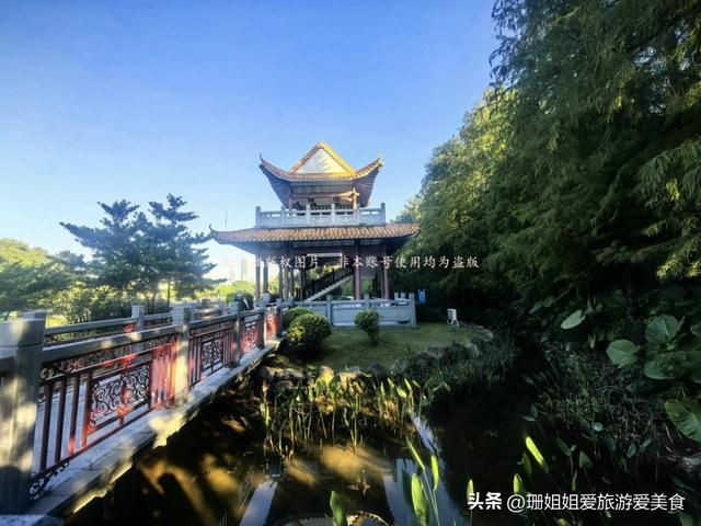 东山湖冬天最佳游玩地：拍广州风景一线天，还是候鸟观赏圣地