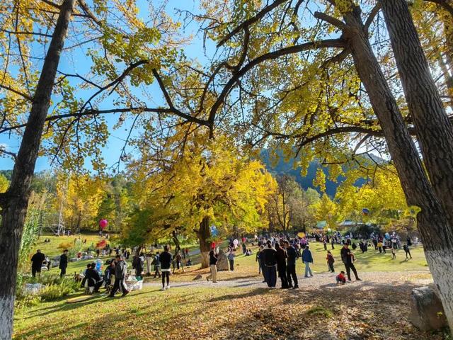 藏不住了！嘉陵镇这份治愈系美景，承包你所有的诗和远方～