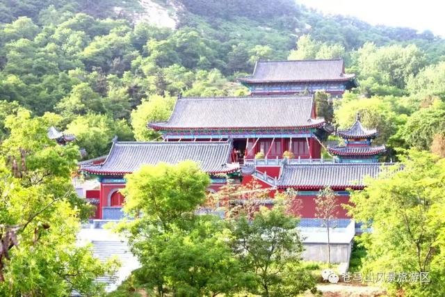 好客临沂放大招！“天赋一‘饼’”争霸赛主场开秀，景区+酒店优惠多到爆，等你来嗨！