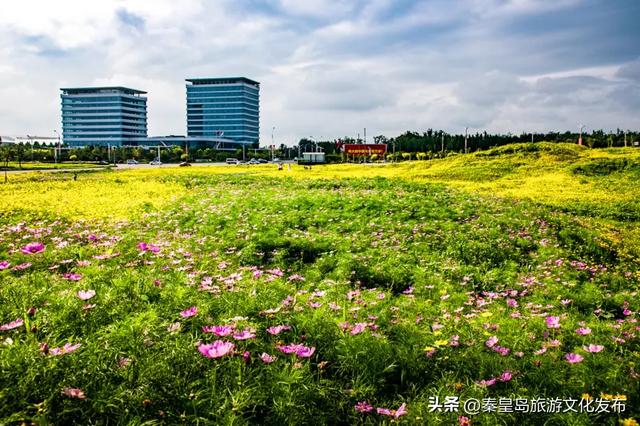 今年暑期，秦皇岛文旅热度攀升，持续“霸榜”！一起回顾秦皇岛夏日记忆~