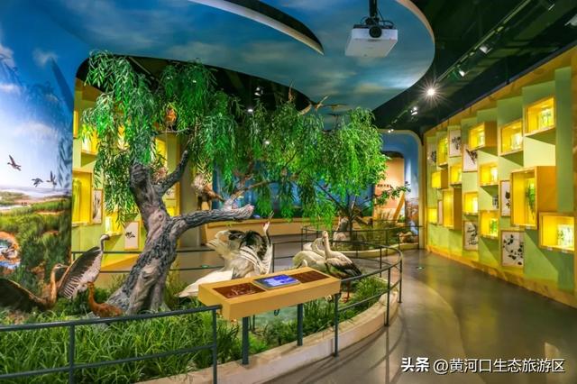 【黄河口生态旅游区】8月8日奥运冠军即将空降黄河口！超燃日程抢先看！