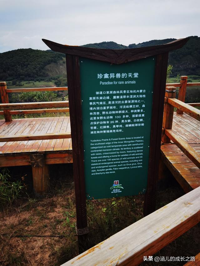 总要去趟草原吧！自驾塞罕坝和乌兰布统超简攻略（附图超全）