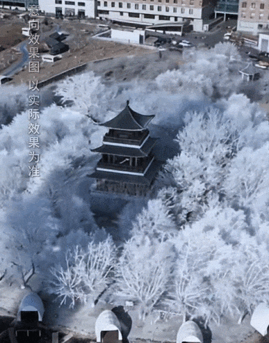 12月20日迎客，“开”在市中心！