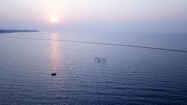 十一游玩圣地！巢湖村落火出圈，茶舍接待45万游客，渔民弃渔靠湖