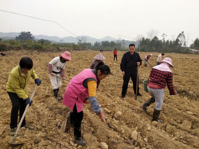 粮价二十年没涨，农民种地还能挣钱吗？深挖背后发现涨价才是好事