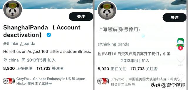 47岁知名博主上海熊猫去世后续：账号将留给孩子看，海外网友热评
