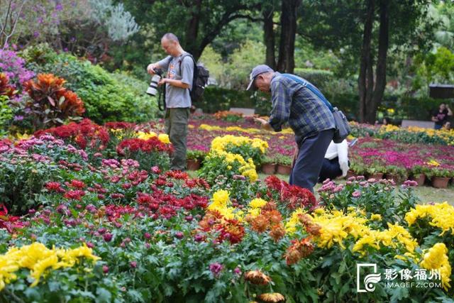 来啦！福州人等了一年的金秋雅事，本周开幕