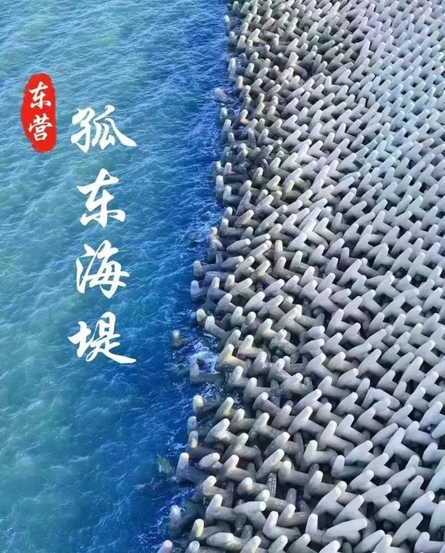 奔“县”山东！这里是黄河入海 大美垦利