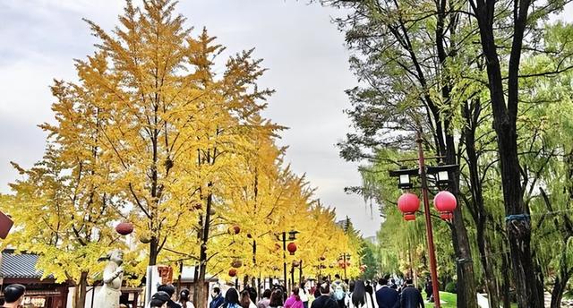 西安大唐芙蓉园:一池秋水作画屏 古典园林映画中