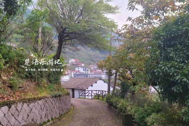 完全没想到，宁波这个以樱桃花走红的古村，秋天的风景也这么美！