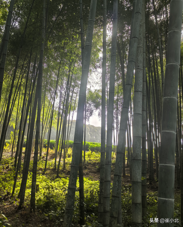 宋城演艺：在核心地段掌握核心资产